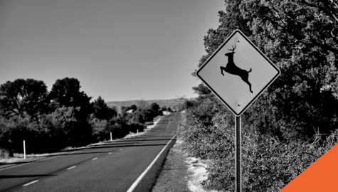 Deer crossing sign on side of road